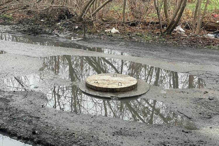 Фото: Антонина Пшеничная / telegram.org