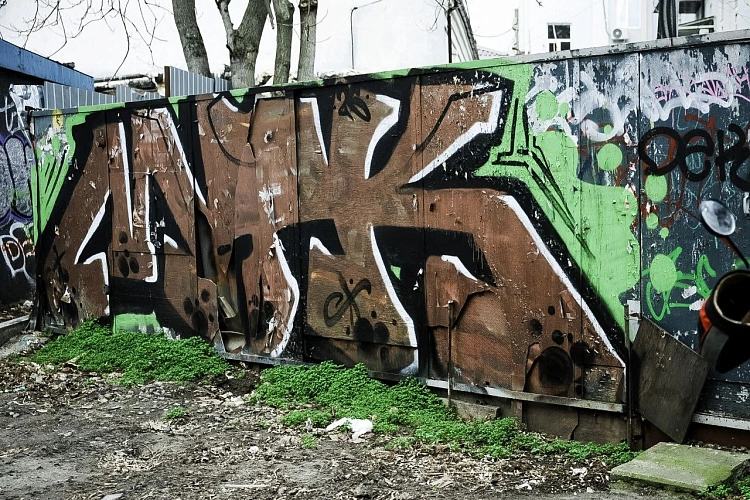 Фото: пресс-центр ЮФУ