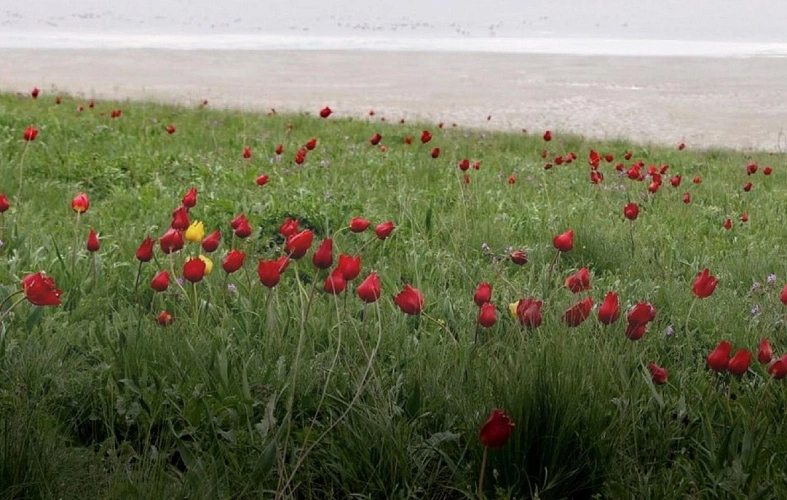 Фото: из архива Правительства Ростовской области 