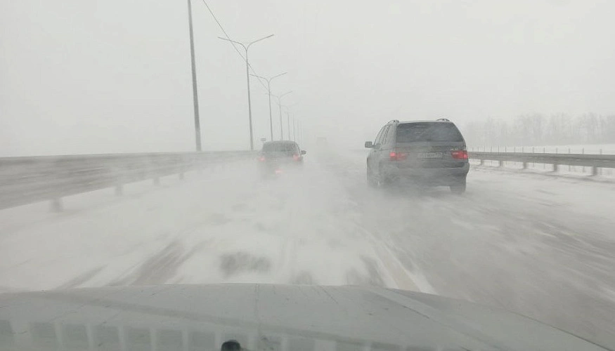 Фото: Метель на трассе М-4 в Ростовской области, кадр из чата трассы