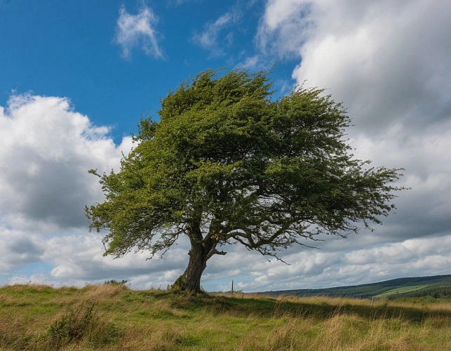 Фото: Изображение сгенерировано нейросетью 