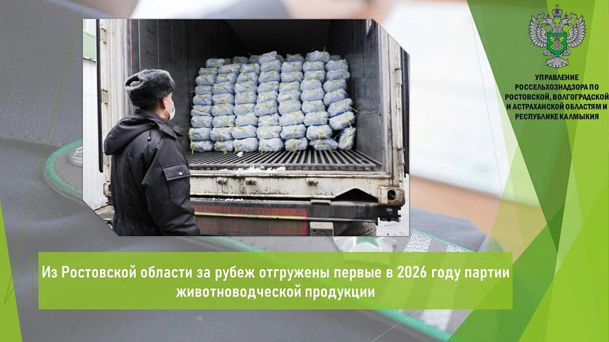 Фото: Региональный Россельхознадзор