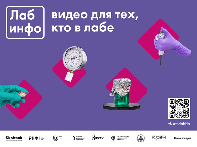 Фото: с сайта ЮФУ