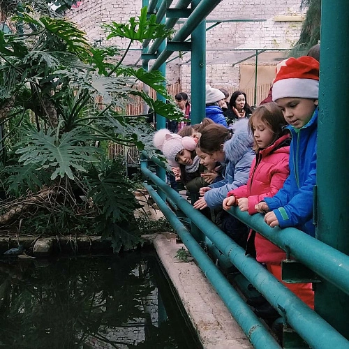 Фото: Ботанический сад ЮФУ