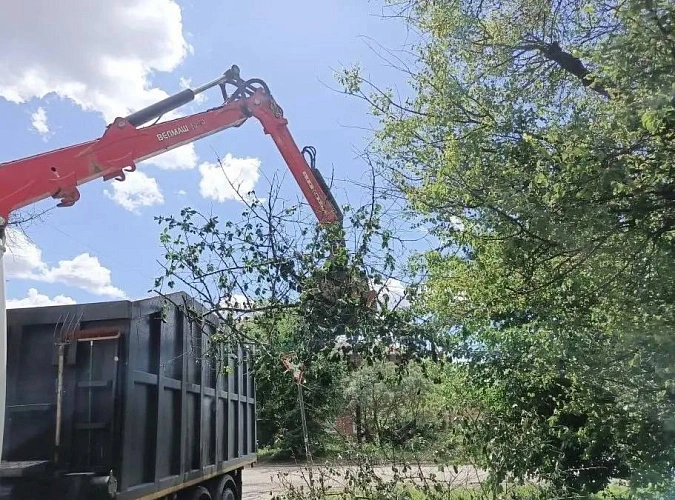 Фото: ТГ канала Бебури Месхи
