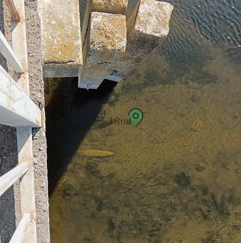 Фото: собственный источник