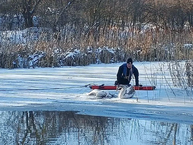 Фото: ГКУ РО «Ростовская областная поисково-спасательная служба»