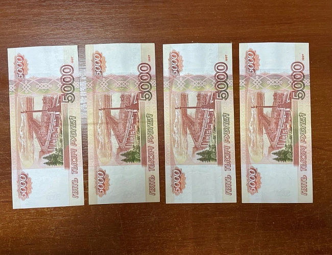 Фото: Следком РО