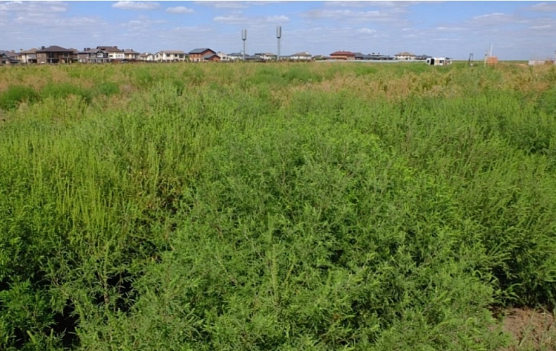 Фото: Управление Россельхознадзора по РВАОиРК