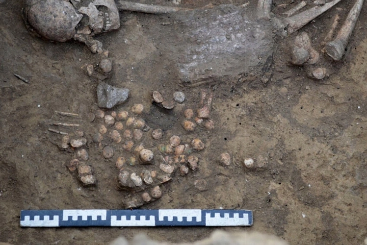 Фото: ЮНЦ РАН