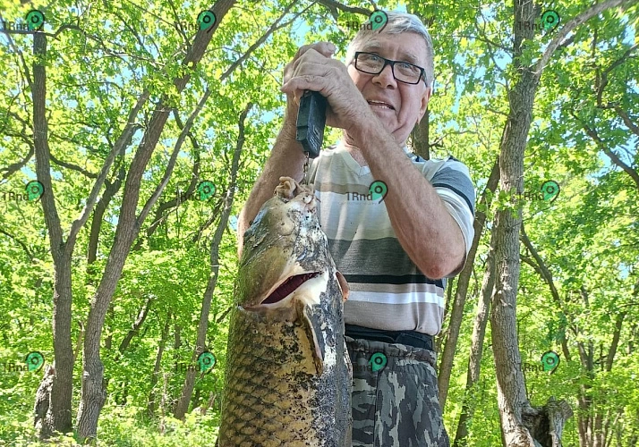 Фото: рыбак из ростовского Донецка - Владимир Кохановский