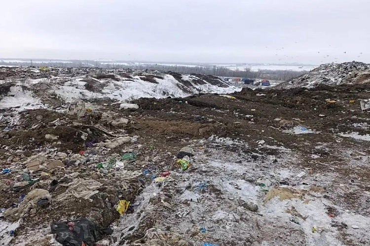 Фото: ТГ-канал Антонины Пшеничной