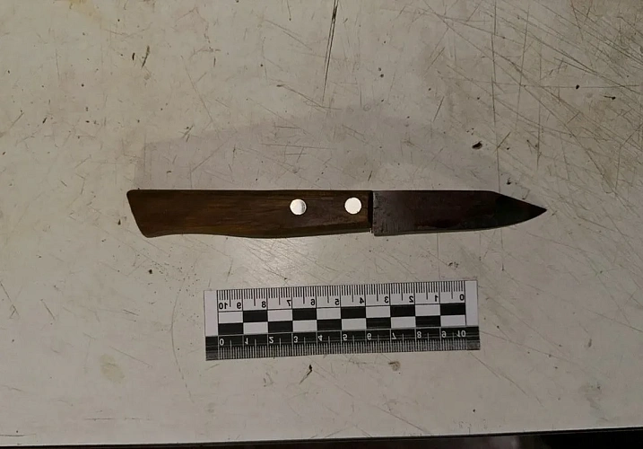 Фото: СУ СК по Ростовской области 