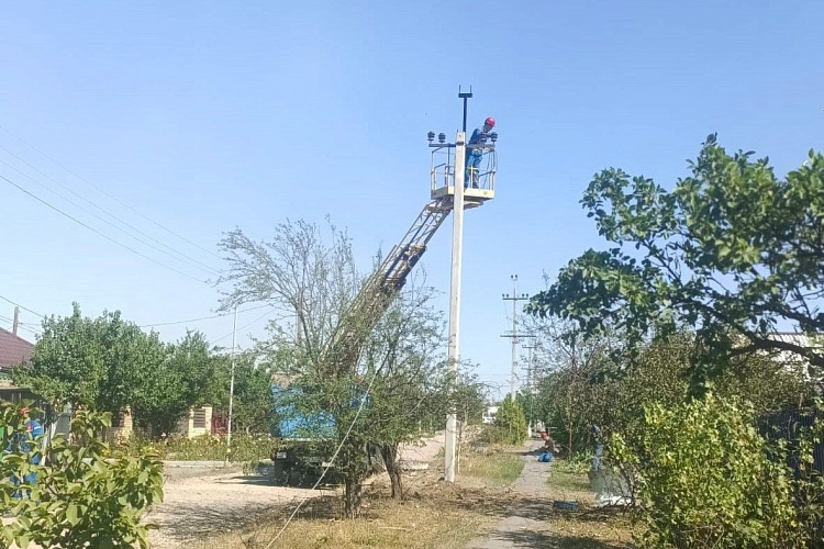 Фото: Правительство Ростовской области 