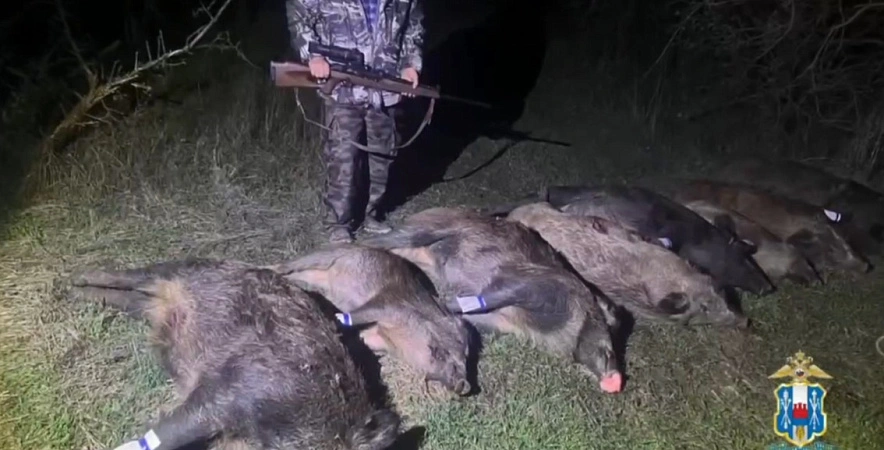 Фото: кадр пресс-службы ГУ МВД по РО