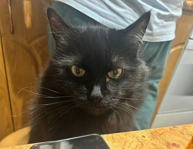 Фото: из архива редакции