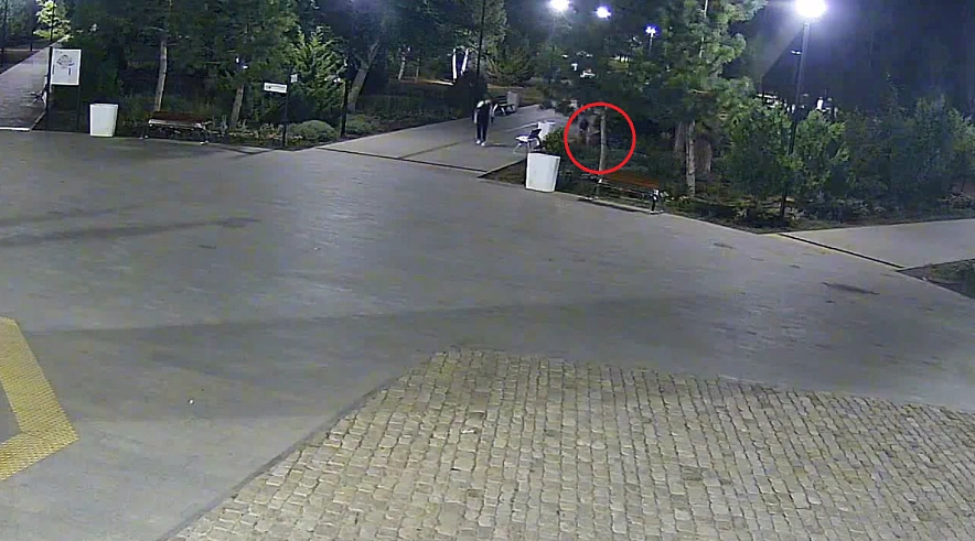 Фото: ТГ канала Главы города Таганрога