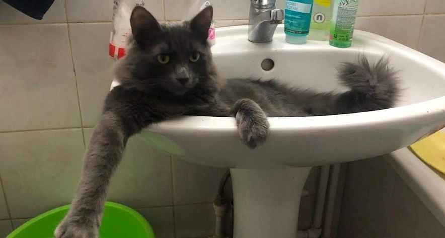 Фото:  кадр 1rnd