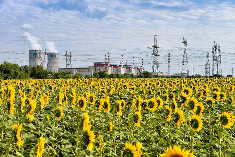 Фото: кадр пресс-службы
