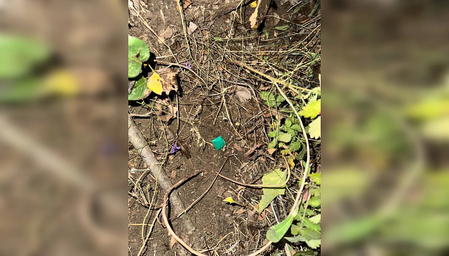 Фото: Донская полиция