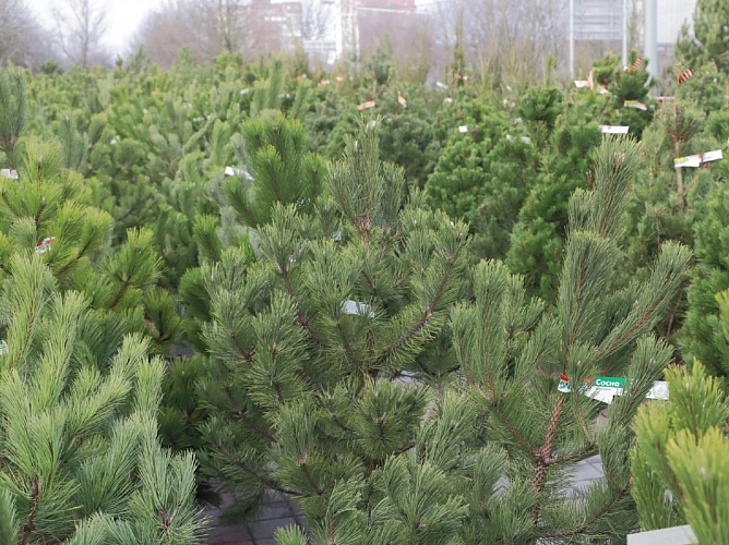 Фото: Администрации города Ростова-на-Дону