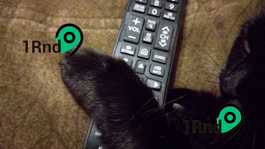 Фото: из публикаций 1Rnd