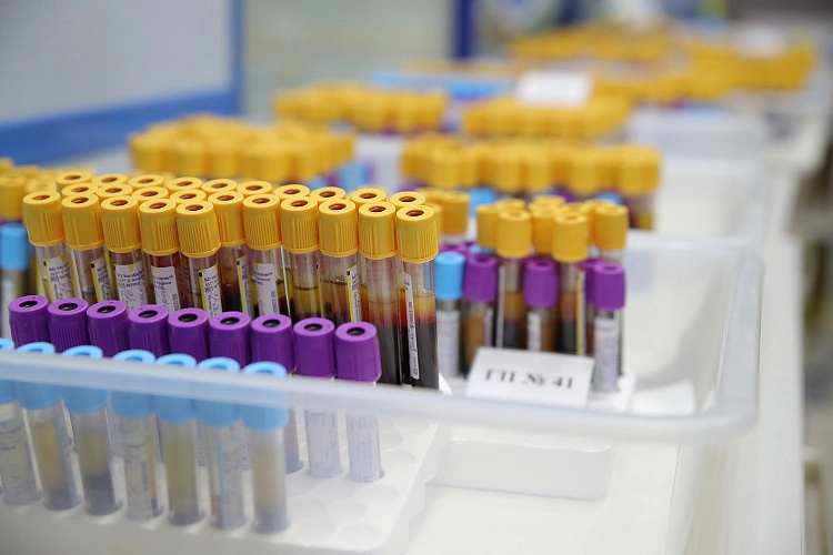 Фото: Пробирки в лаборатории, кадр ПРО