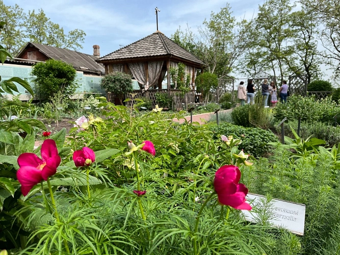Фото: Гошпитальный сад // фото Азовского музея-заповедника