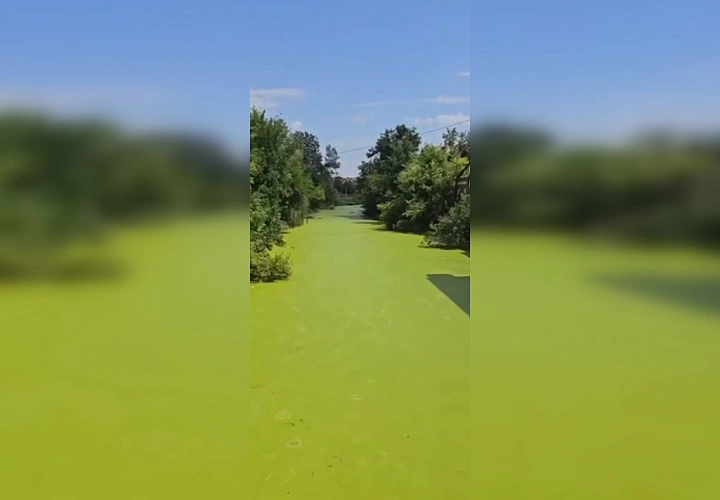 Фото: ТГ канала "Жесть Ростов"