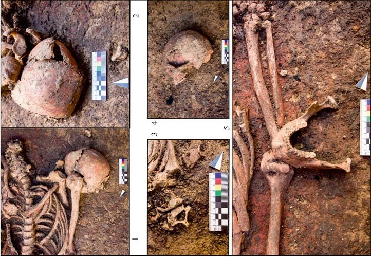 Фото: учёные выясняют прародину индоевропейцев // фото ЮФУ