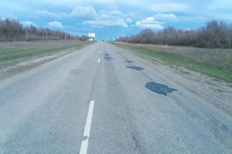 Фото: Правительство Ростовской области 