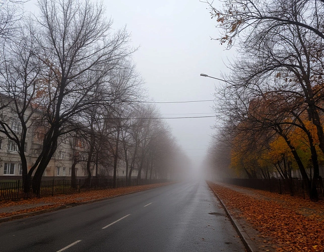 Фото: нейросеть 