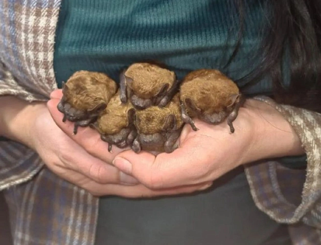 Фото: Соцсети