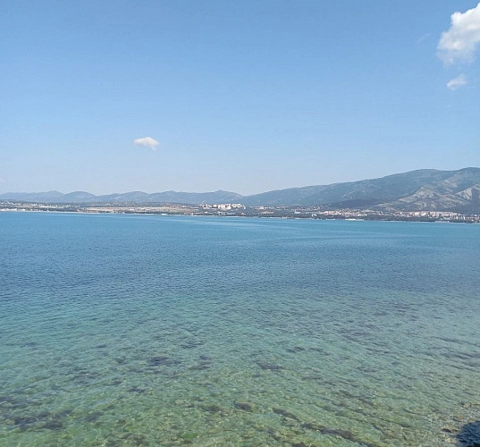 Фото: фото билайн