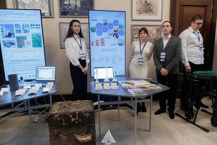 Фото: учёные ЮФУ победили в конкурсе // фото ЮФУ