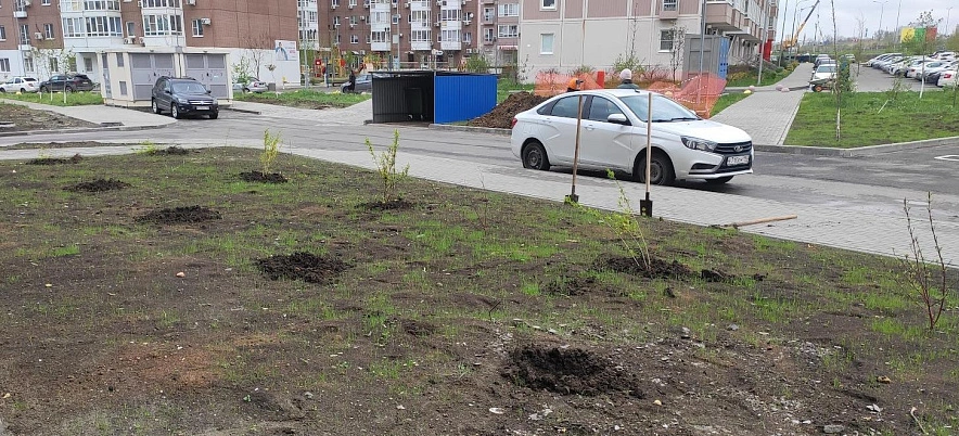 Фото: лунки для высадки деревьев в Ростове, кадр 1rnd