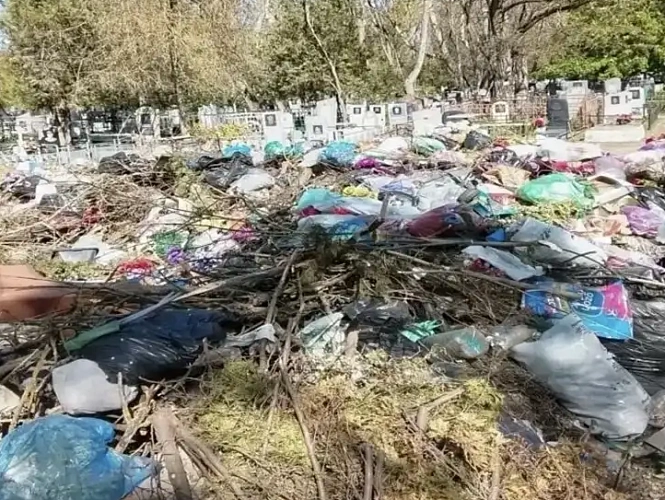 Фото: ТГ канала Антонины Пшеничной