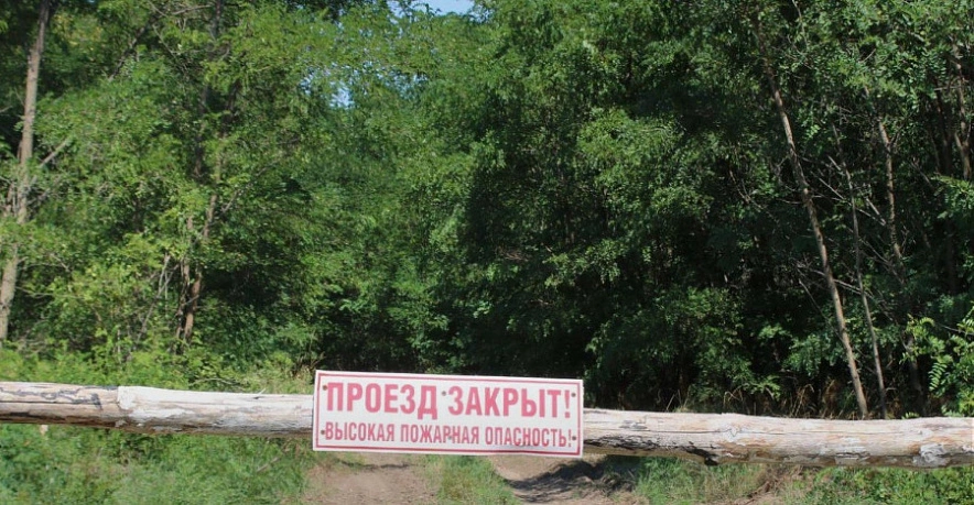 Фото: Минприроды РО