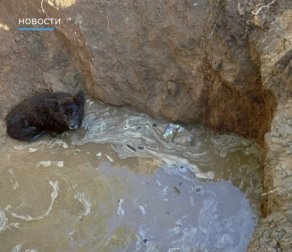 Фото:  МКУ "Управление ГО и ЧС г.Каменск-Шахтинский"