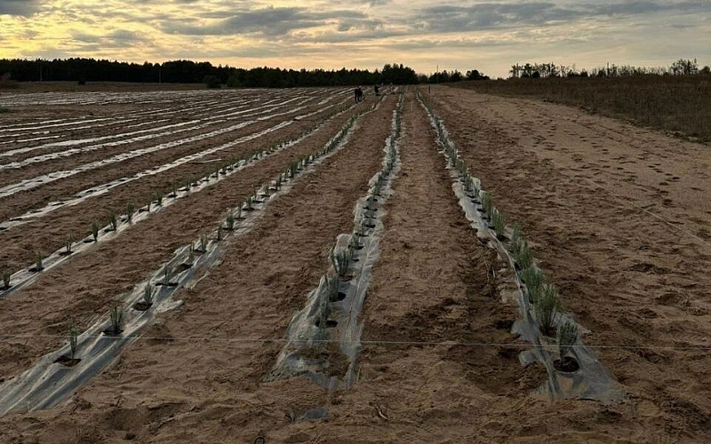 Фото: Администрация Усть-Донецкого района