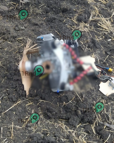 Фото: наших читателей