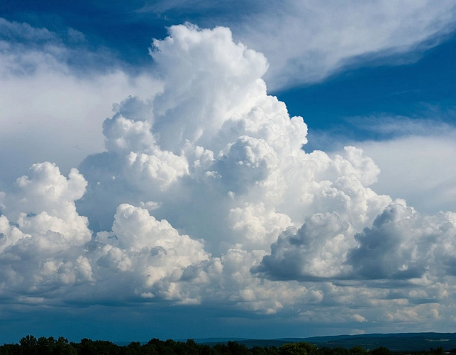Фото: Изображение сгенерировано нейросетью 