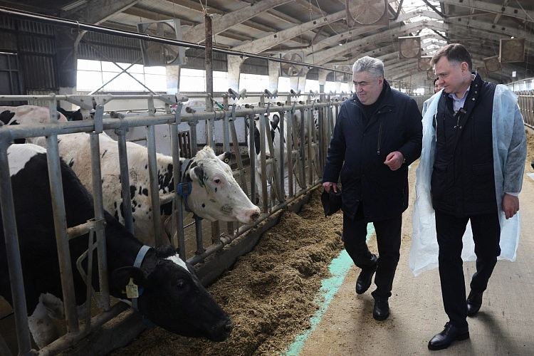 Фото: пресс-служба правительства РО