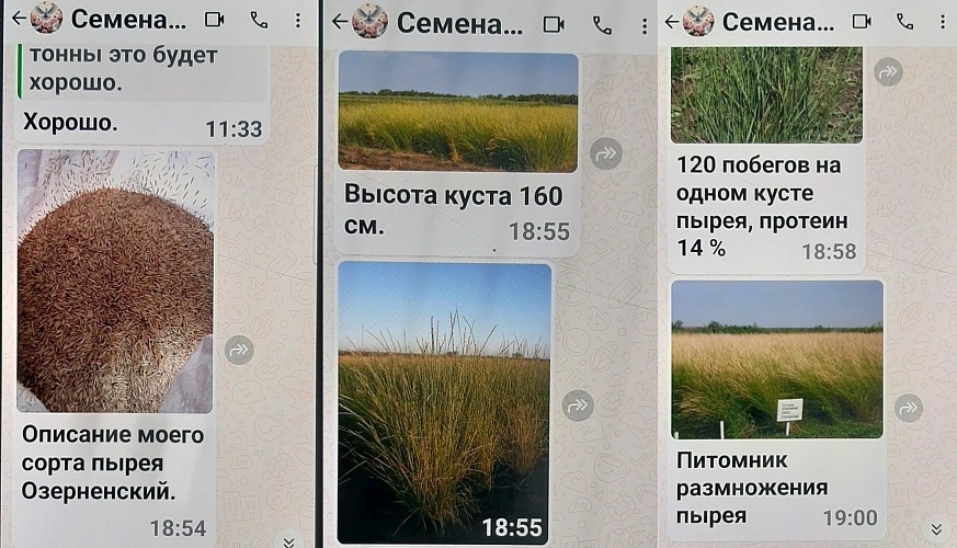 Фото: МВД по Ростовской области 
