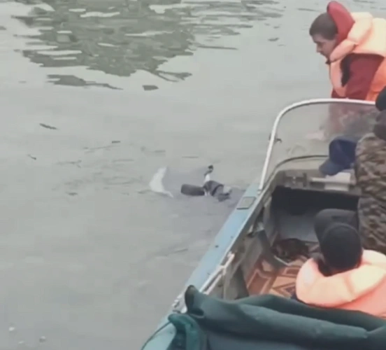 Фото: кадр из социальных сетей