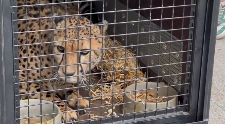 Фото: Ростовский-на-Дону зоопарк