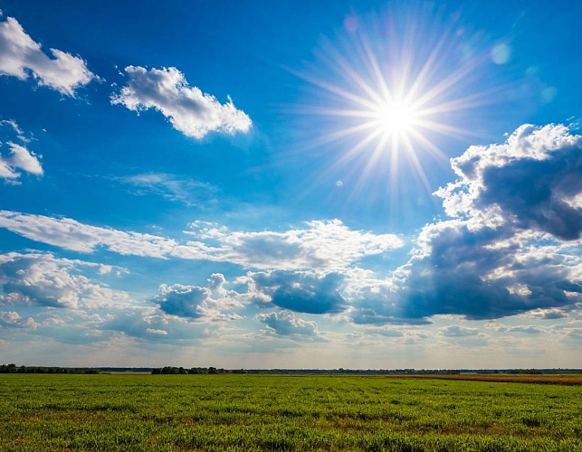 Фото: нейросеть 