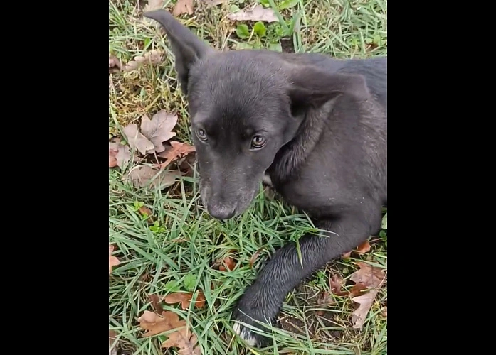 Фото: Соцсети Ольги Мосиюк