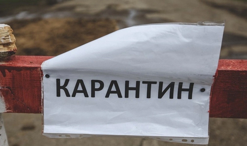 Фото: кадр jana-kezen.kz