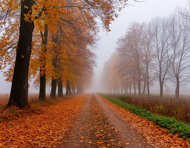 Фото: нейросеть 